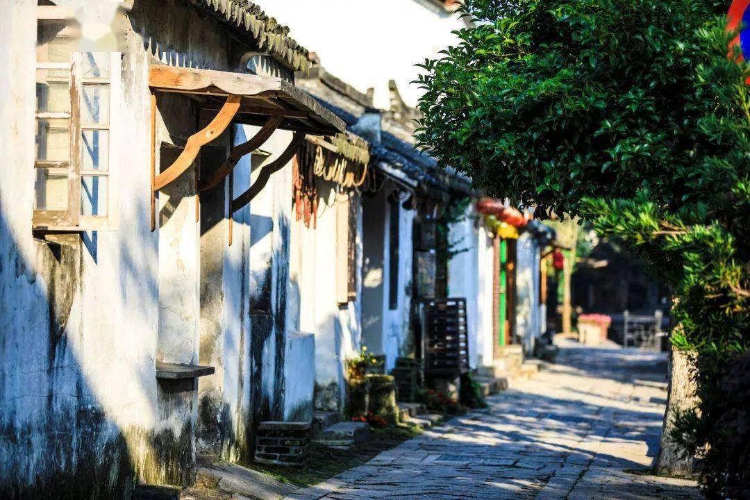 面发的好好的!为什么蒸了四十分钟还是发的生面？游戏画面